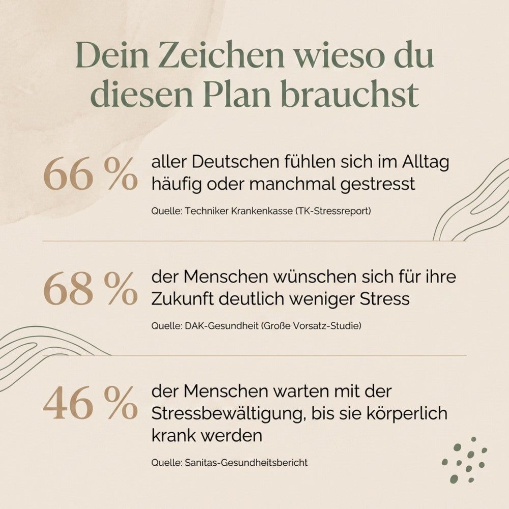 Kostral - Der 10-Minuten Somatic Reset E-Book