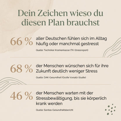 Kostral - Der 10-Minuten Somatic Reset E-Book